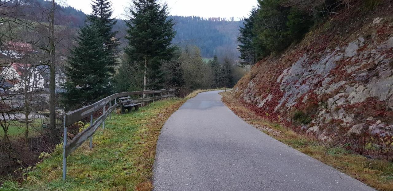 Ferienwohnung "Hirschlein" Im Schwarzwald 拜尔斯布龙 外观 照片