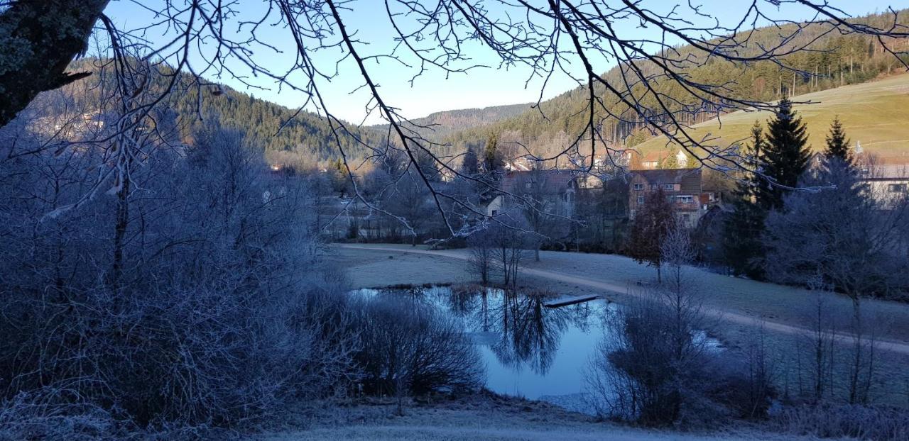 Ferienwohnung "Hirschlein" Im Schwarzwald 拜尔斯布龙 外观 照片