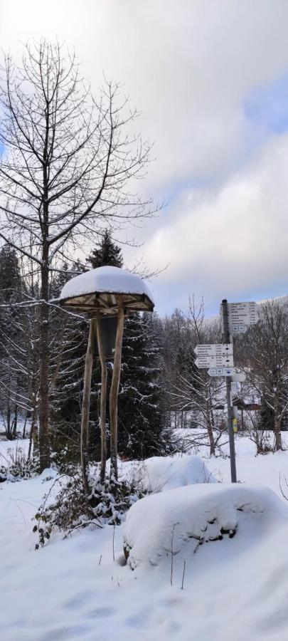 Ferienwohnung "Hirschlein" Im Schwarzwald 拜尔斯布龙 外观 照片