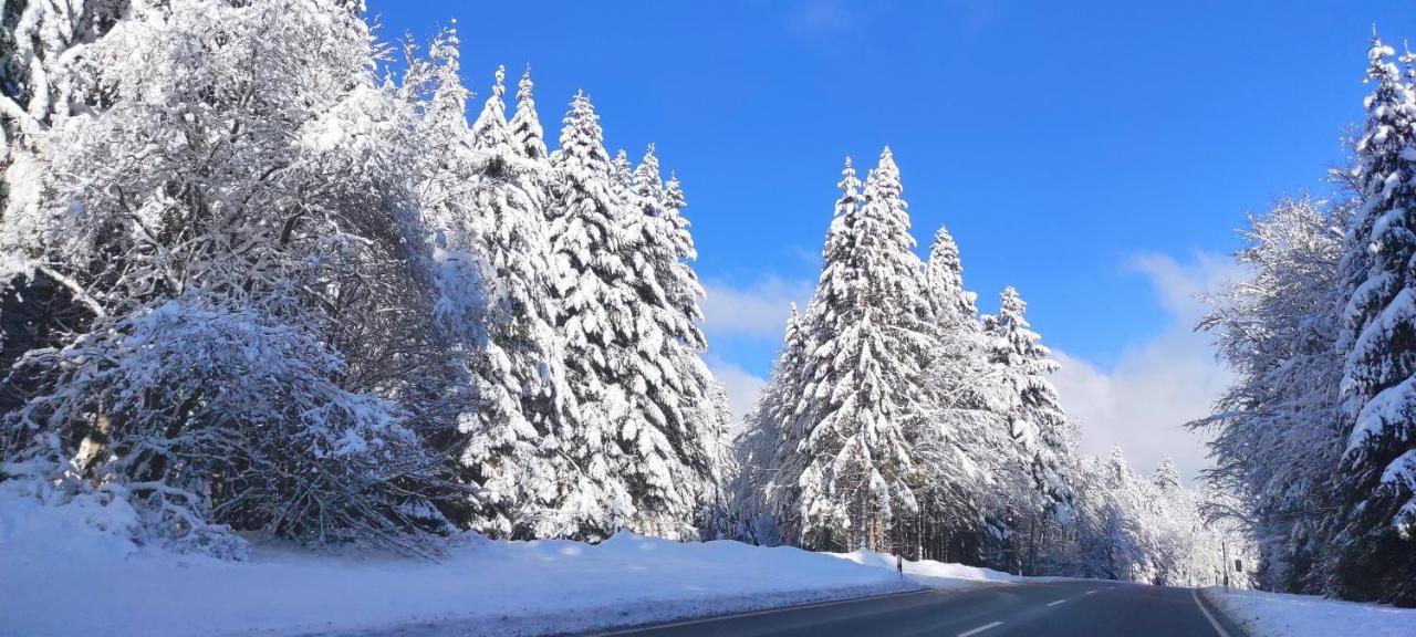 Ferienwohnung "Hirschlein" Im Schwarzwald 拜尔斯布龙 外观 照片