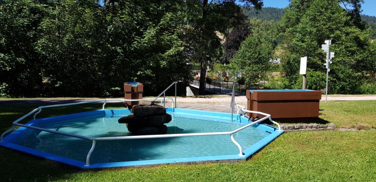Ferienwohnung "Hirschlein" Im Schwarzwald 拜尔斯布龙 外观 照片