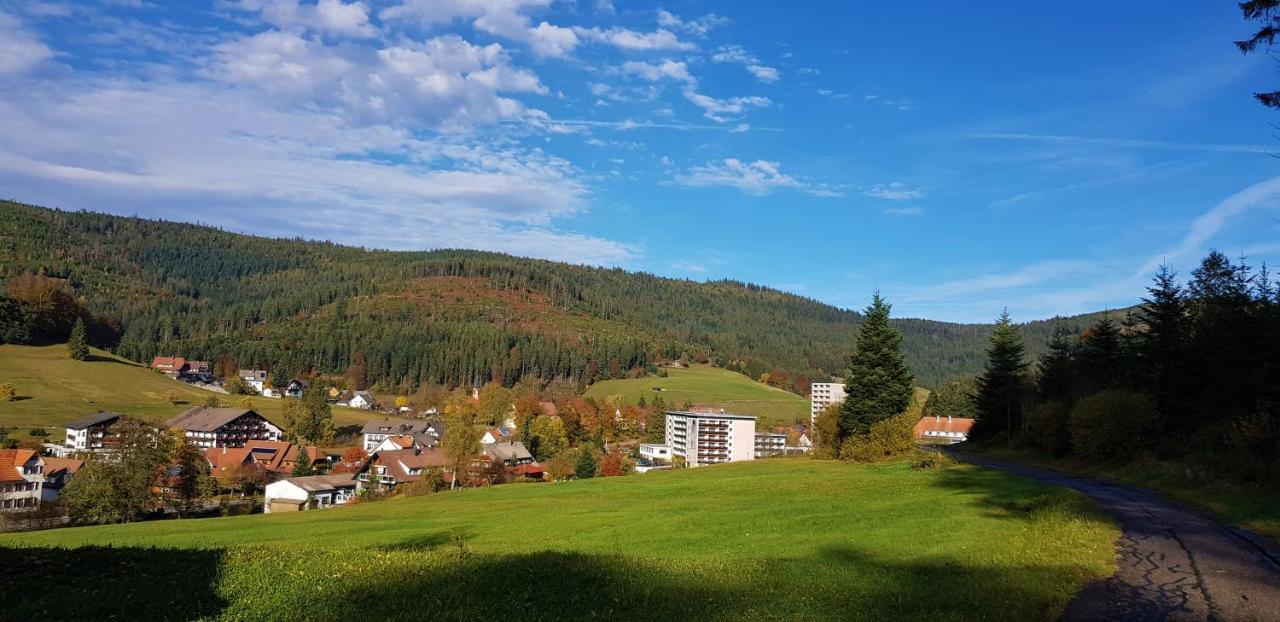 Ferienwohnung "Hirschlein" Im Schwarzwald 拜尔斯布龙 外观 照片