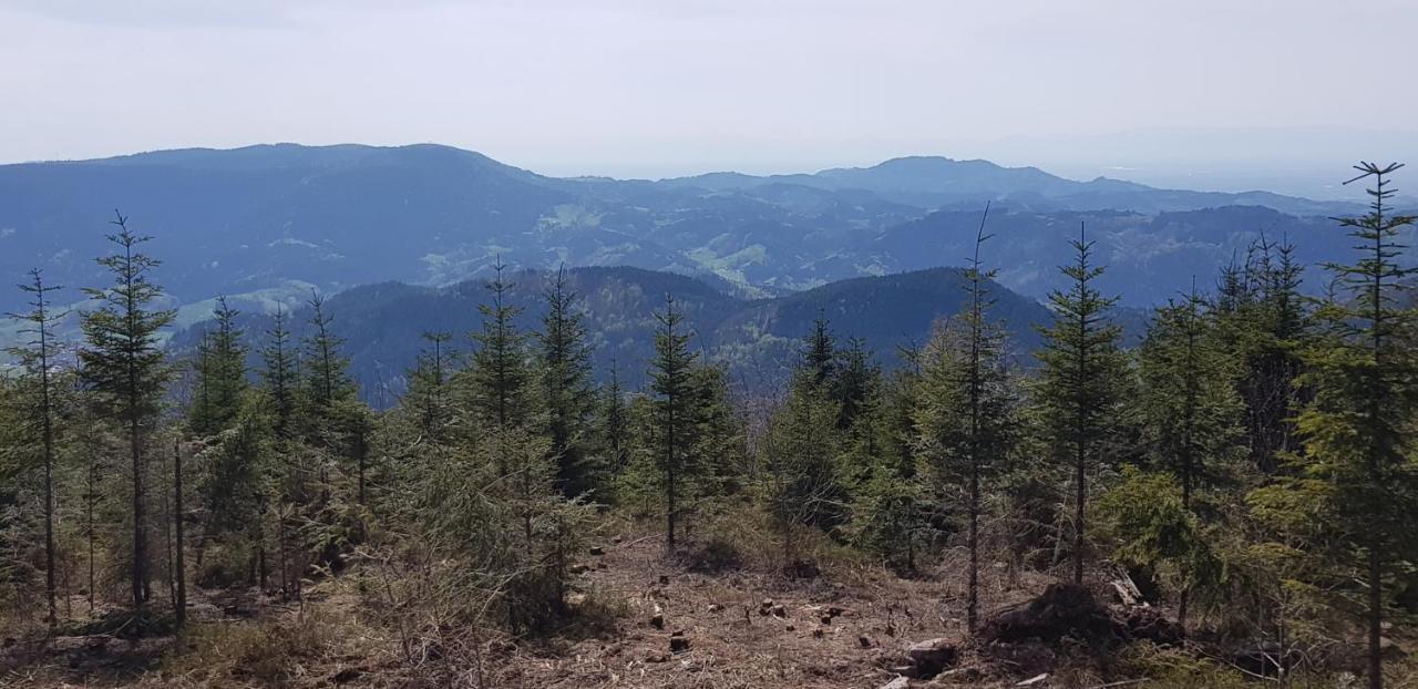 Ferienwohnung "Hirschlein" Im Schwarzwald 拜尔斯布龙 外观 照片