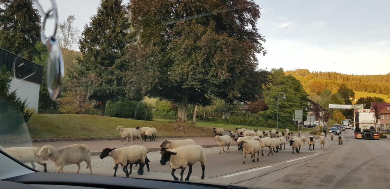 Ferienwohnung "Hirschlein" Im Schwarzwald 拜尔斯布龙 外观 照片